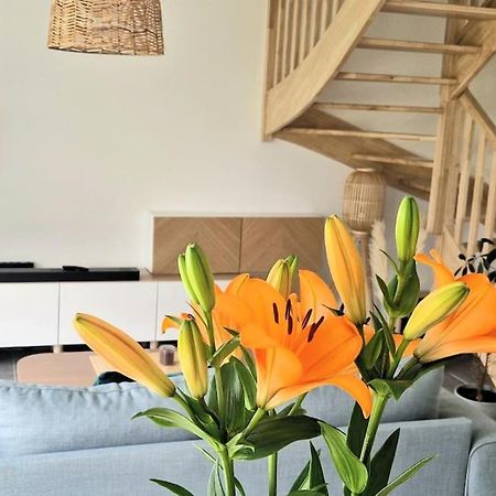 Maison Moderne A バダン エクステリア 写真